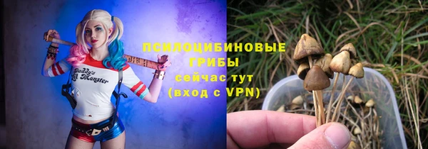 ПСИЛОЦИБИНОВЫЕ ГРИБЫ Коряжма