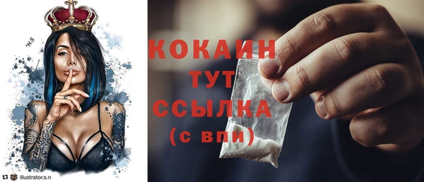 ПСИЛОЦИБИНОВЫЕ ГРИБЫ Коряжма