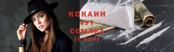 гидра Корсаков