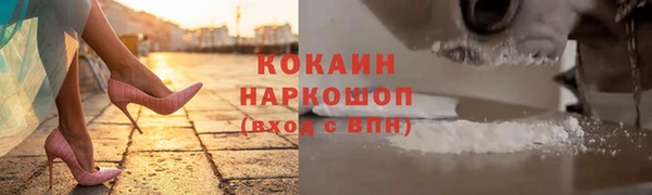 ПСИЛОЦИБИНОВЫЕ ГРИБЫ Коряжма