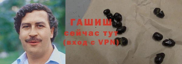 гидра Корсаков