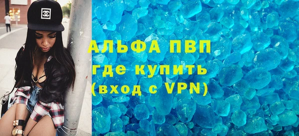 гидра Корсаков