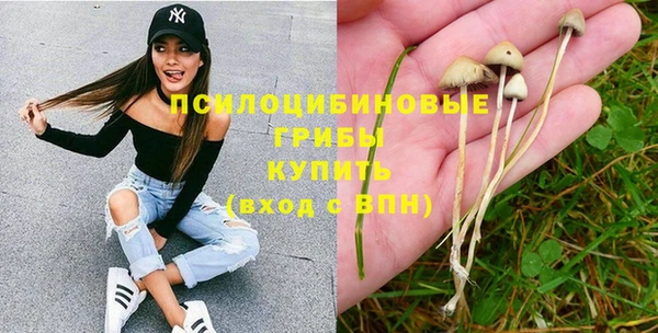 ПСИЛОЦИБИНОВЫЕ ГРИБЫ Коряжма