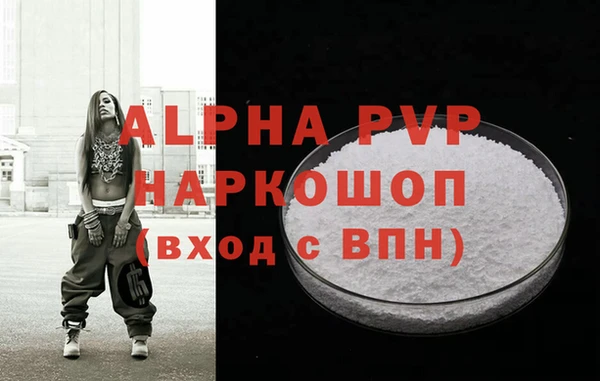 гидра Корсаков