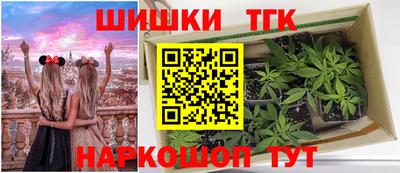 спиды Гагарин