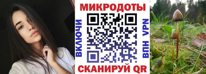 как найти закладки  дарк нет телеграм  mega tor  Галлюциногенные грибы мицелий  Каспийск 