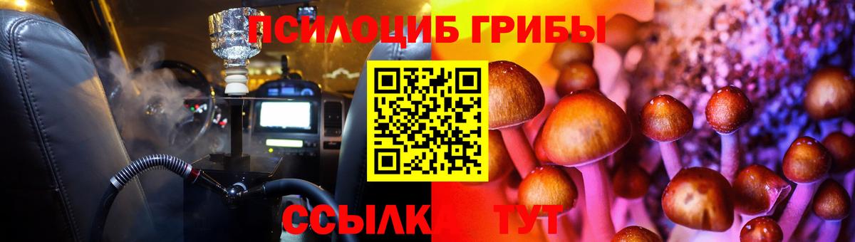 Псилоцибиновые грибы Psilocybine cubensis Каспийск