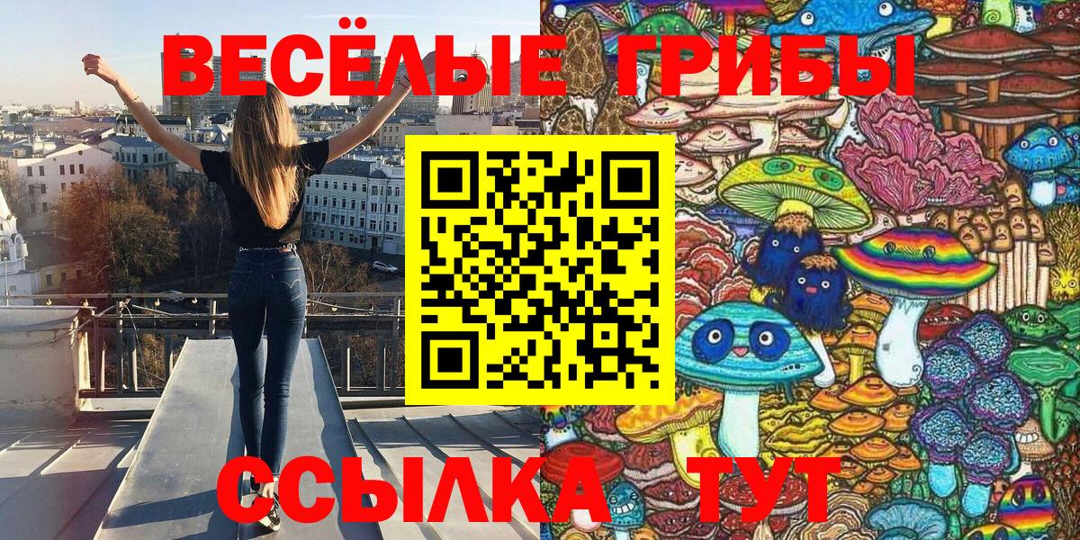 даркнет сайт  Каспийск  Псилоцибиновые грибы Psilocybine cubensis 