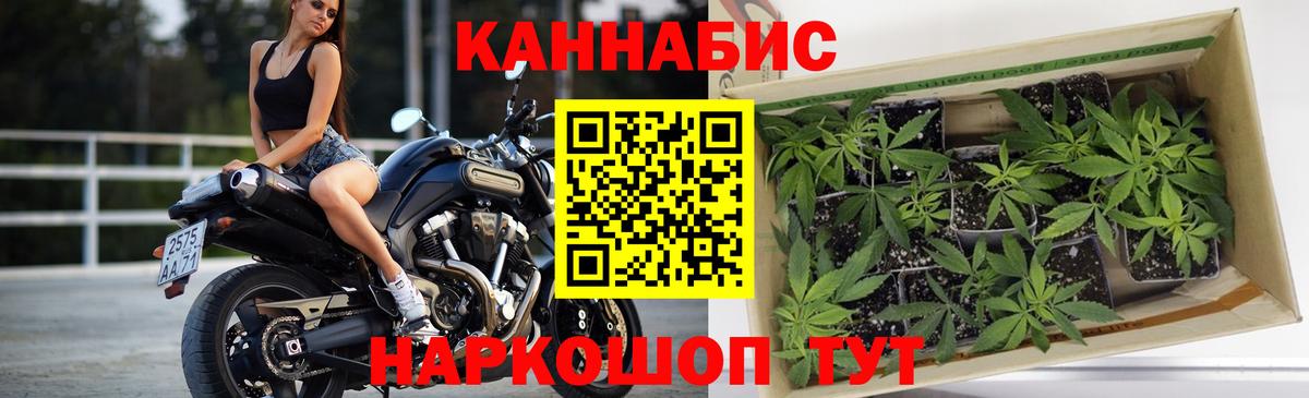 Бошки Шишки семена Каспийск